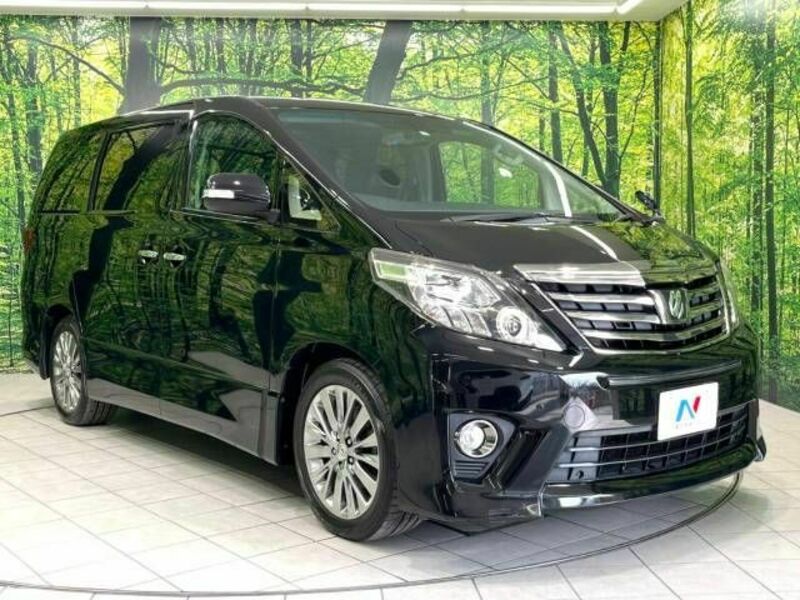 ALPHARD-17