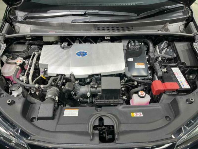 PRIUS-17