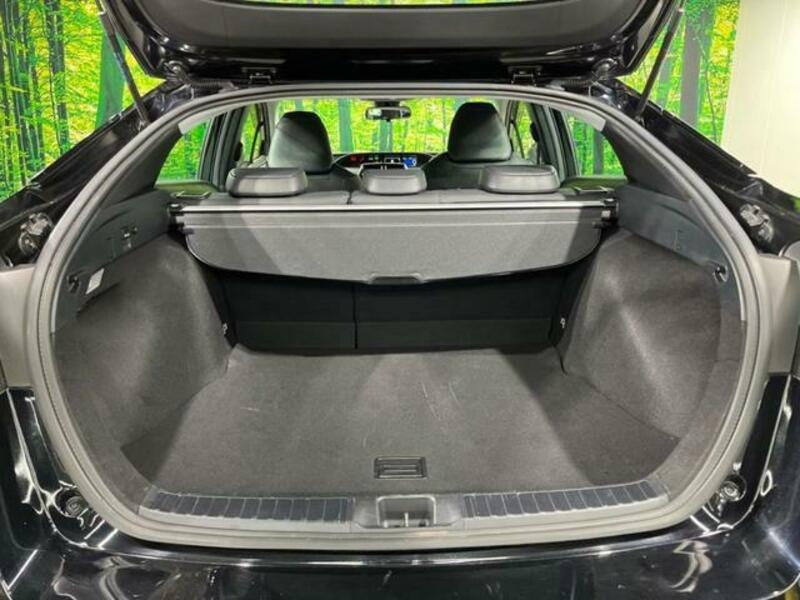 PRIUS-9