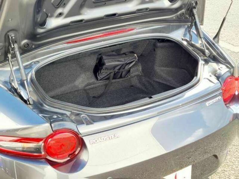 ROADSTER-19