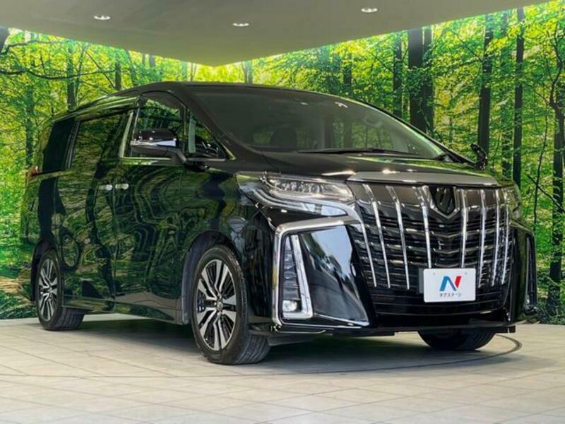 ALPHARD-15