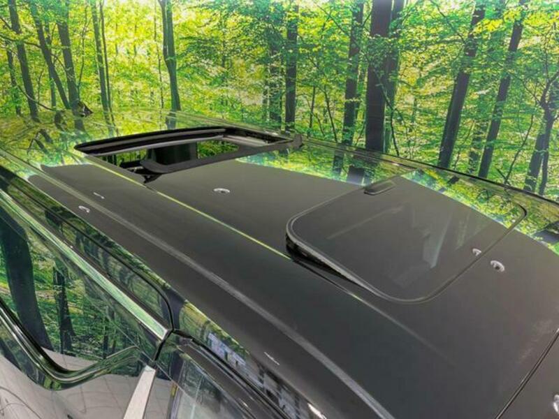 ALPHARD-2