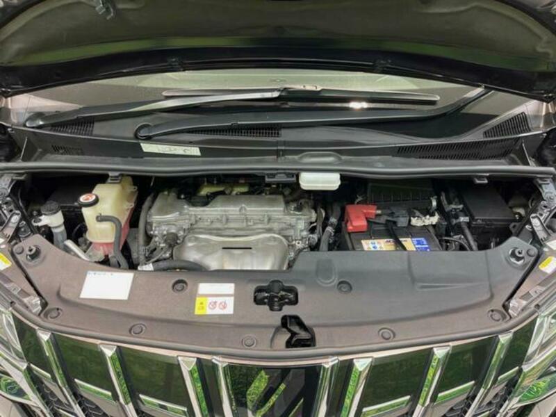 ALPHARD-17
