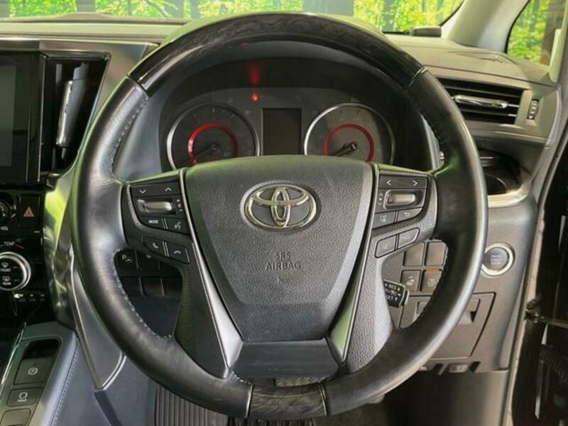ALPHARD-10