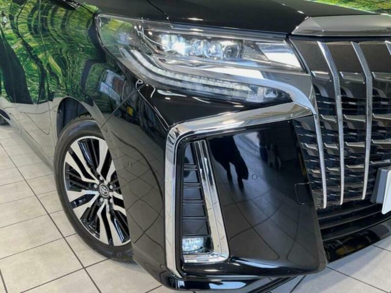 ALPHARD-12