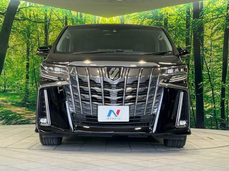 ALPHARD-13