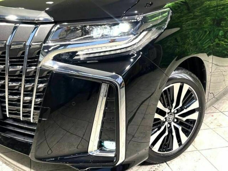 ALPHARD-12