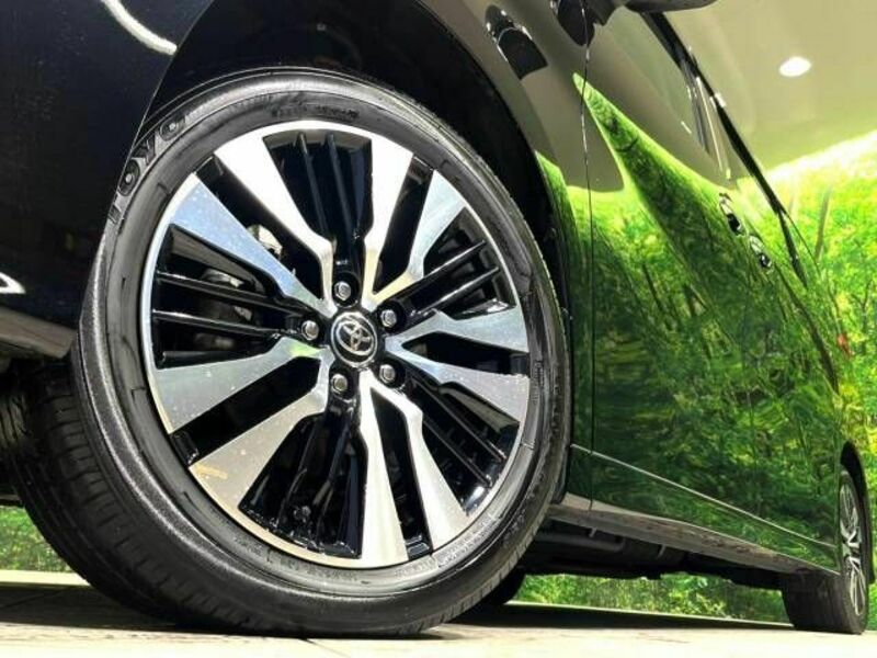 ALPHARD-13