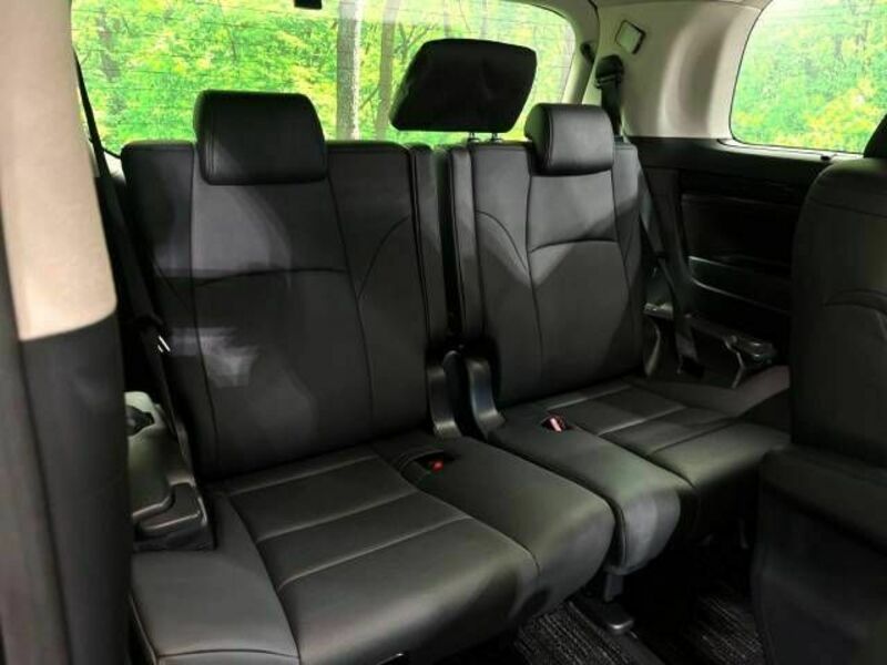 ALPHARD-16