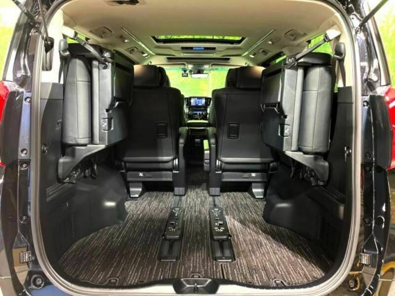 ALPHARD-17