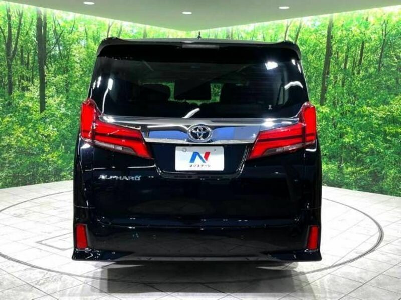ALPHARD-19