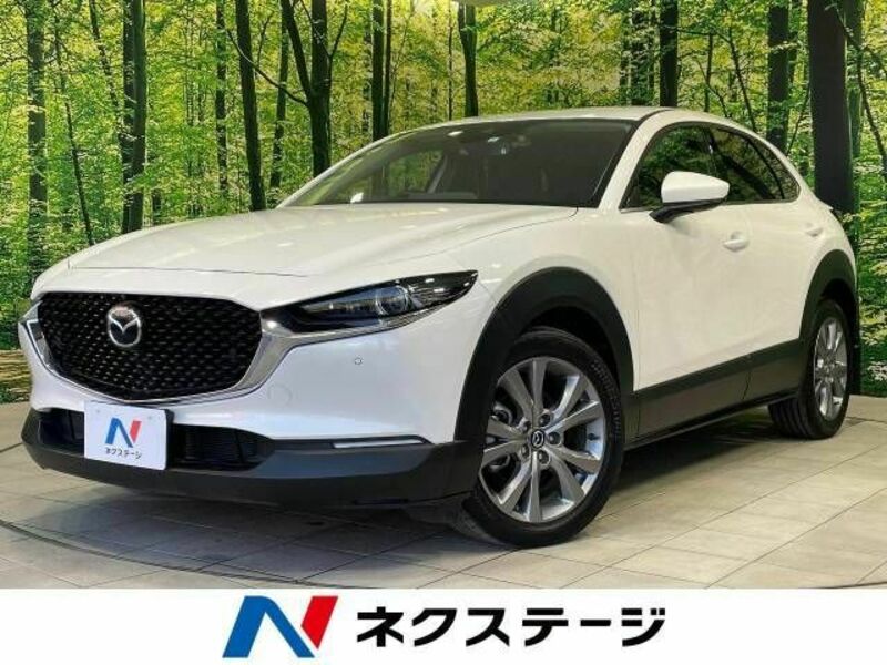 CX-30