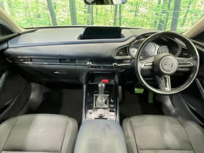 CX-30-1