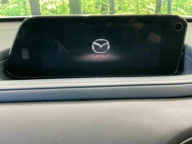 CX-30-2