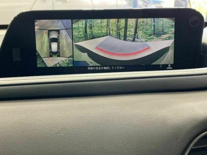 CX-30-3