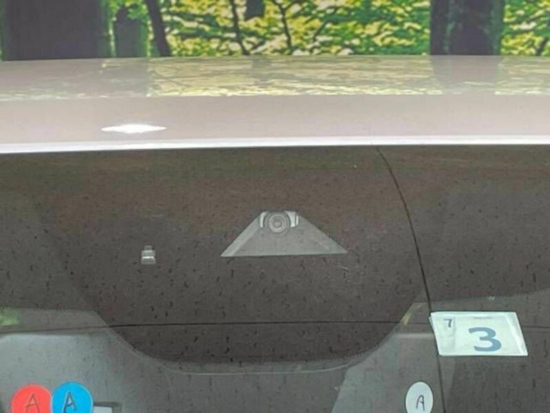 CX-30-4