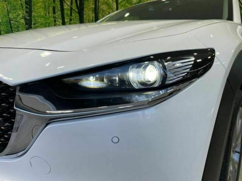 CX-30-11