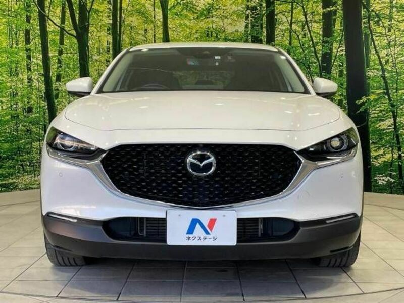CX-30-13