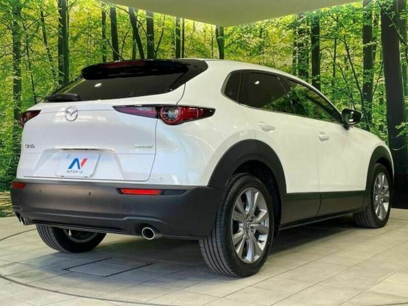 CX-30-16