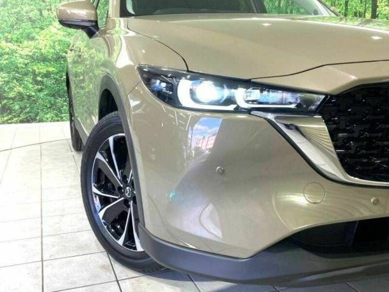 CX-5-11