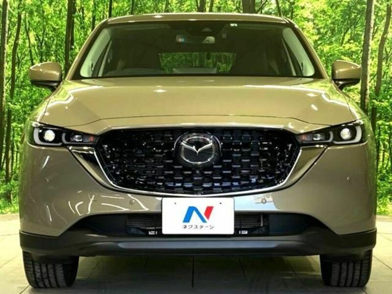 CX-5-14