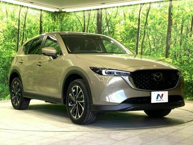 CX-5-16