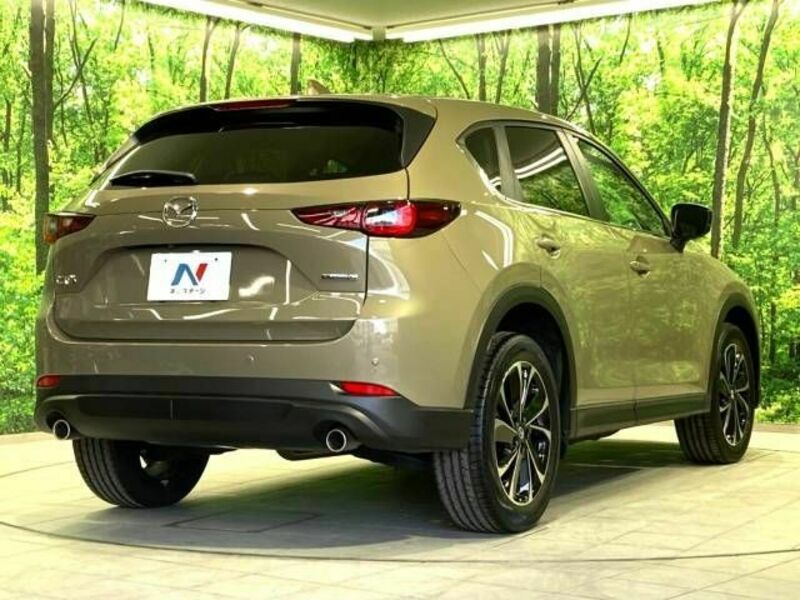CX-5-17