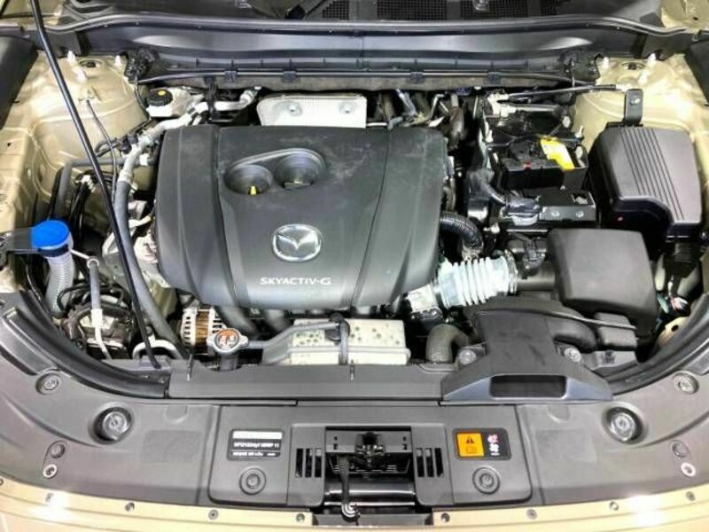 CX-5-18