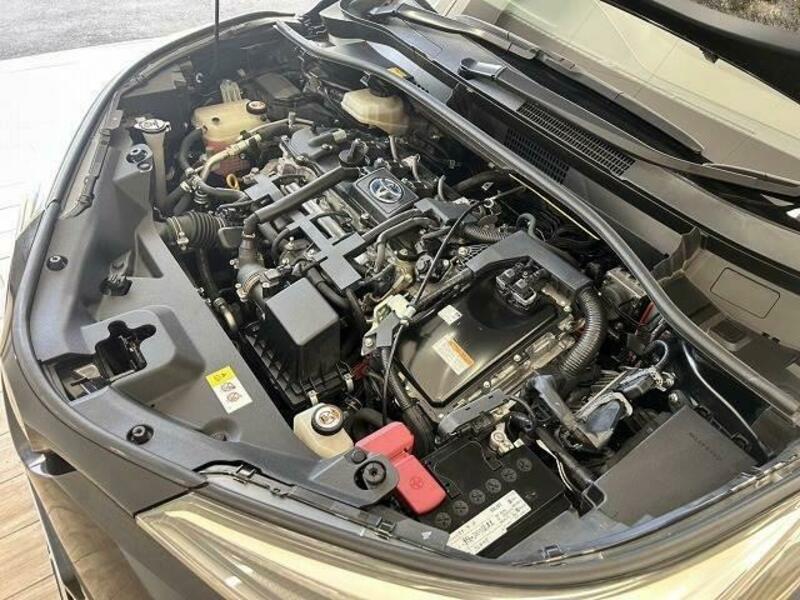 C-HR-19