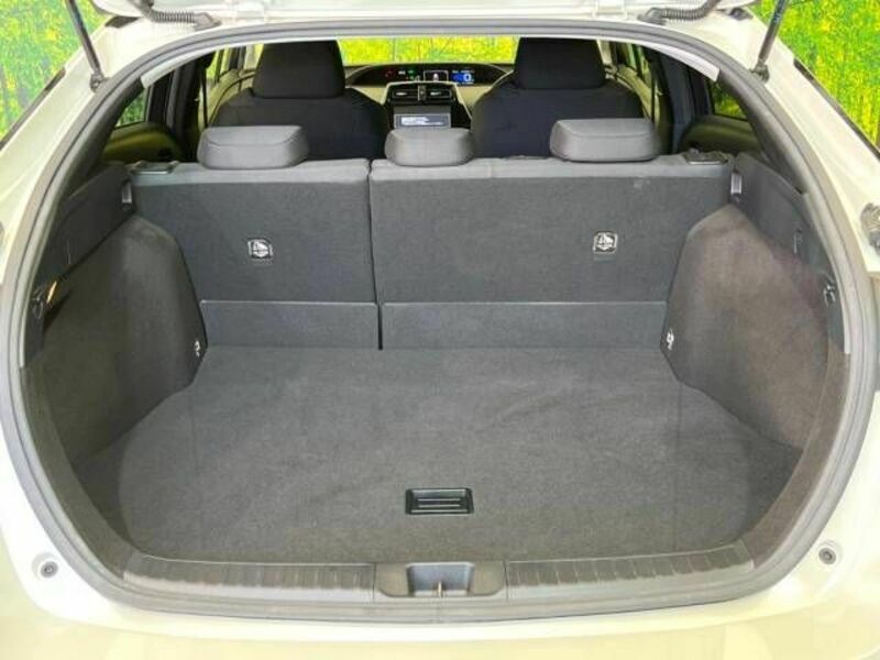 PRIUS-9