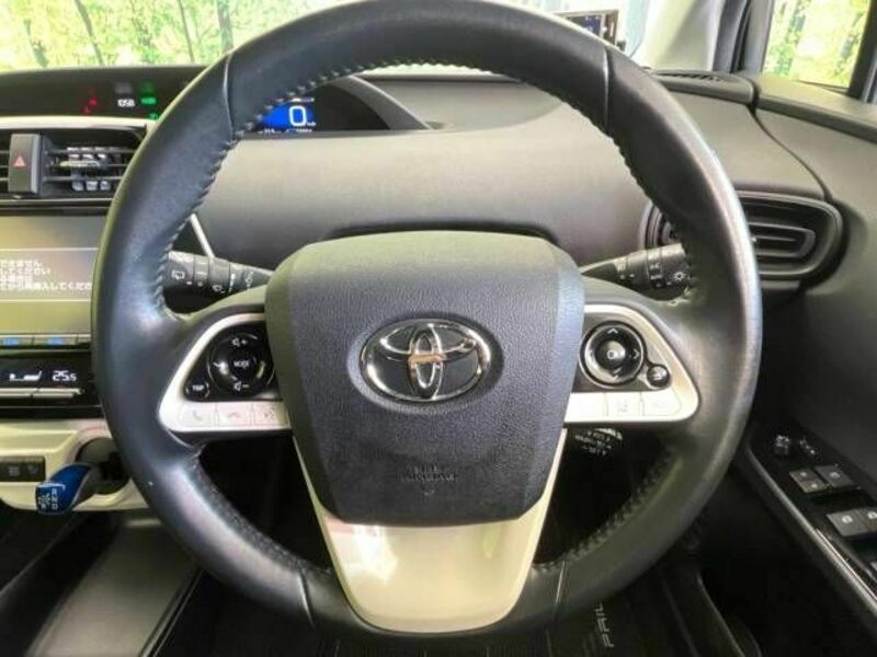 PRIUS-10