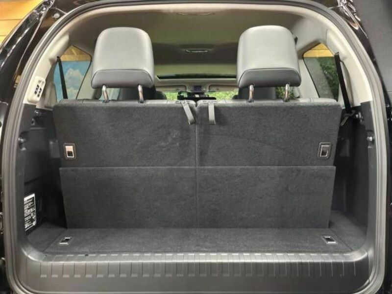 LAND CRUISER PRADO-10