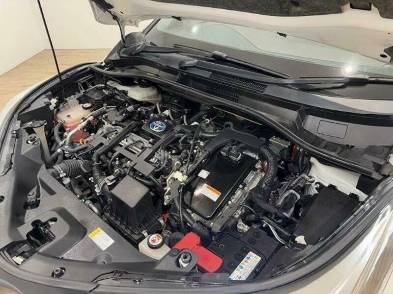 C-HR-19