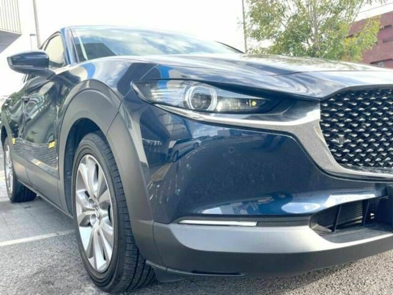 CX-30-19