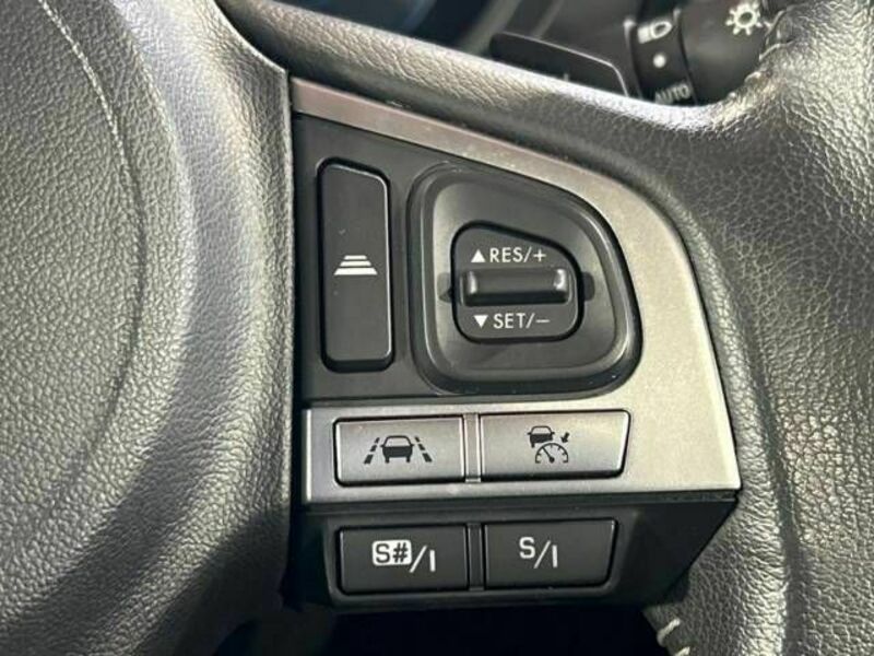 FORESTER-5