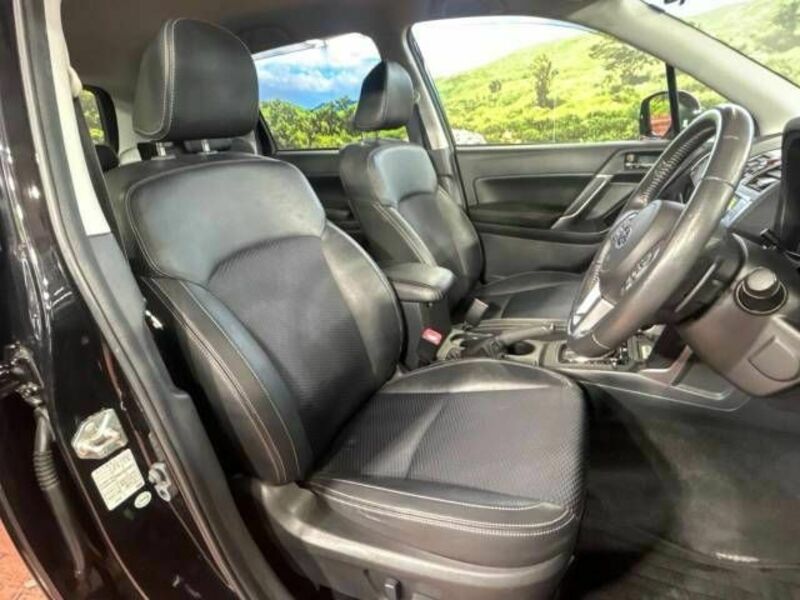 FORESTER-8
