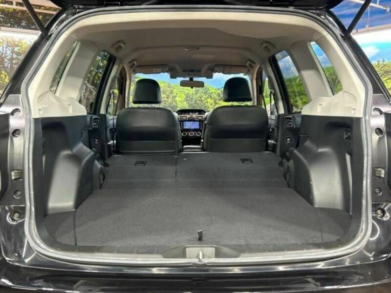 FORESTER-10