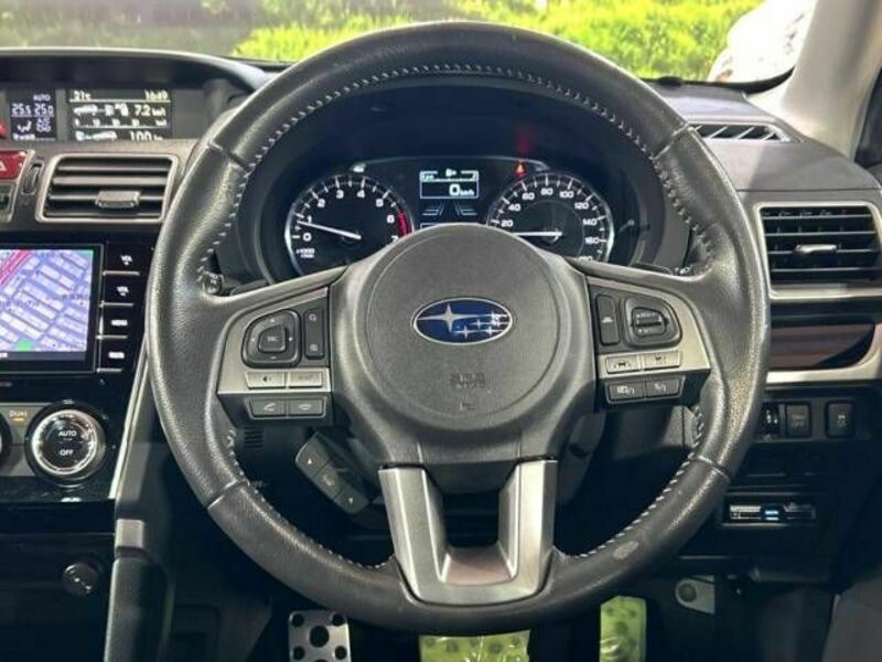 FORESTER-11
