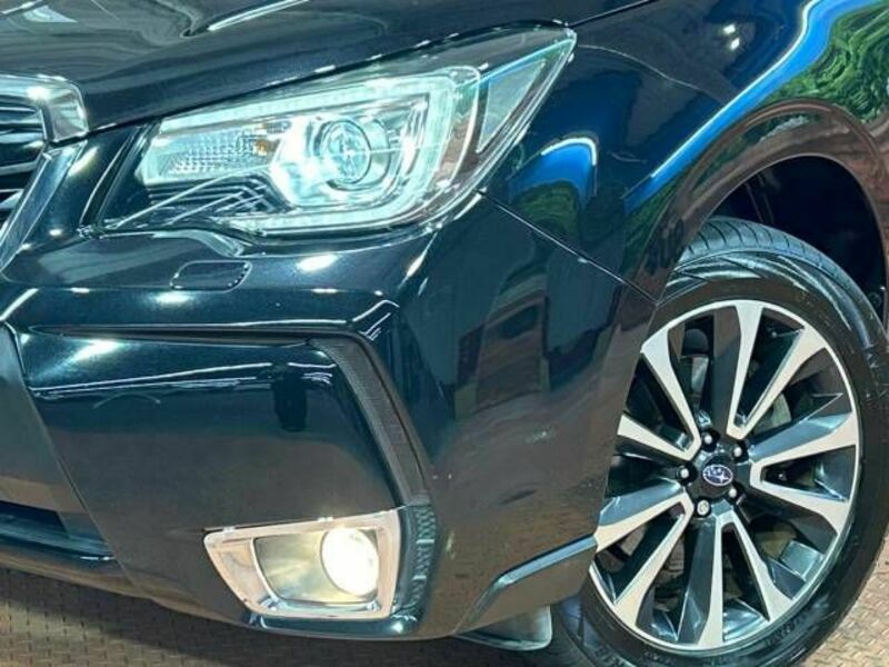 FORESTER-12