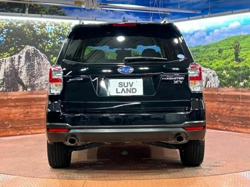 FORESTER-15