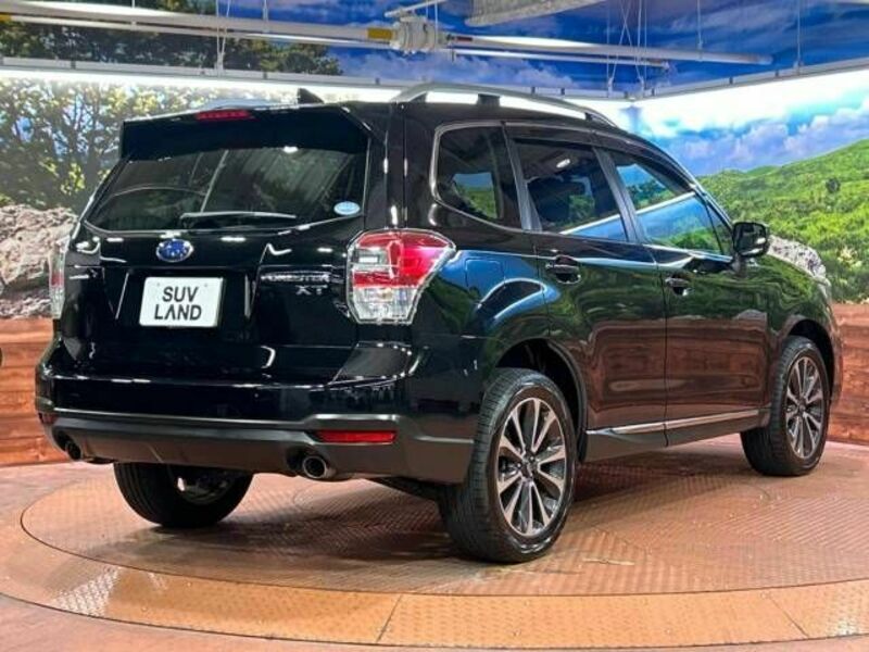 FORESTER-17