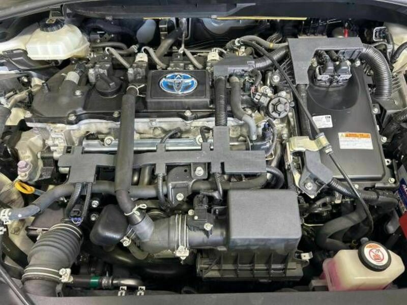 C-HR-18
