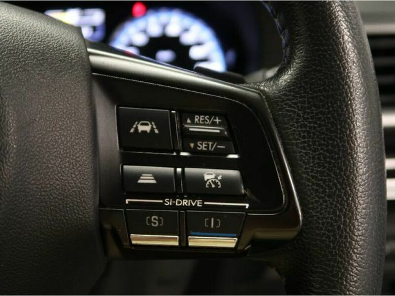 LEVORG-10