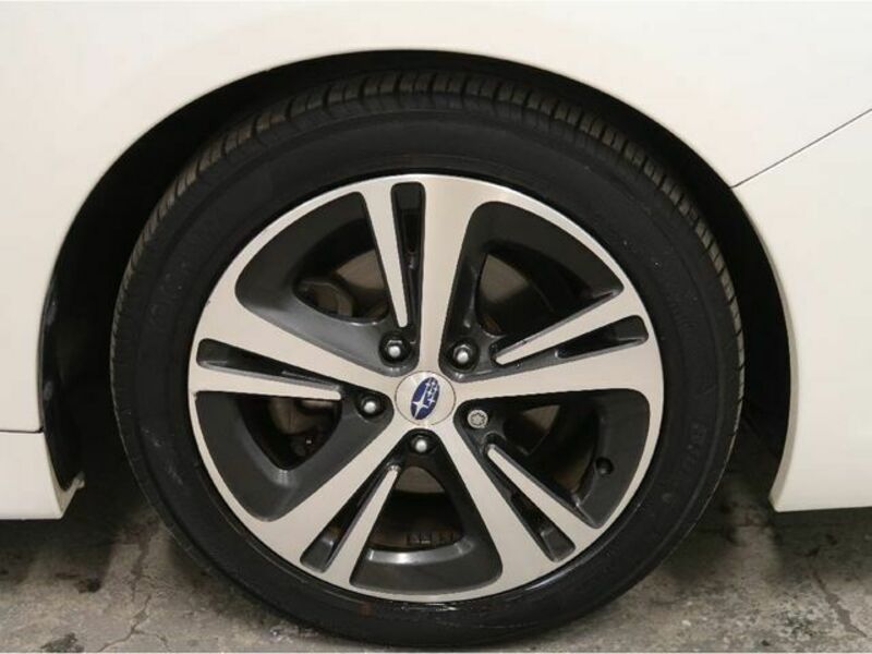 LEVORG-28