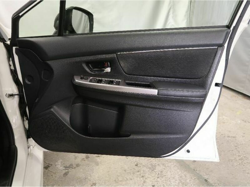 LEVORG-29