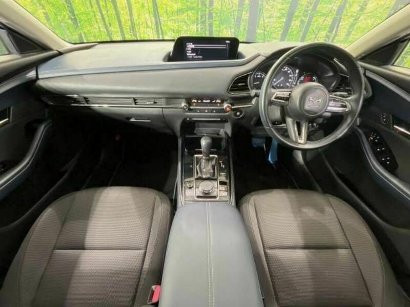 CX-30-1