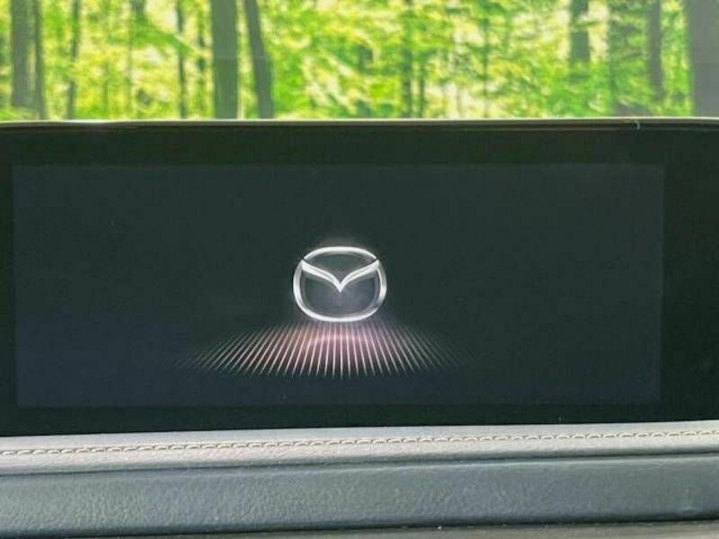 CX-30-2