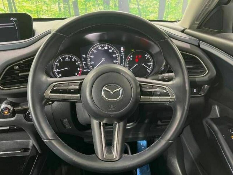 CX-30-10