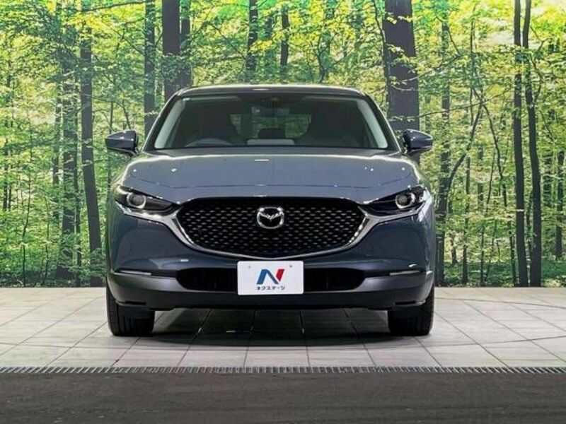 CX-30-13