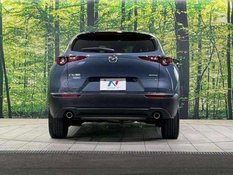 CX-30-14